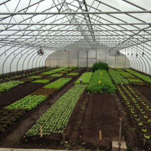 An Educational Visit to Four Season Farm Image